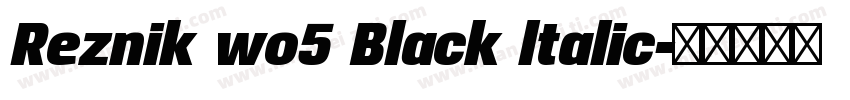 Reznik wo5 Black ltalic字体转换